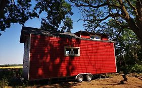 Tinyhouse Tatianason